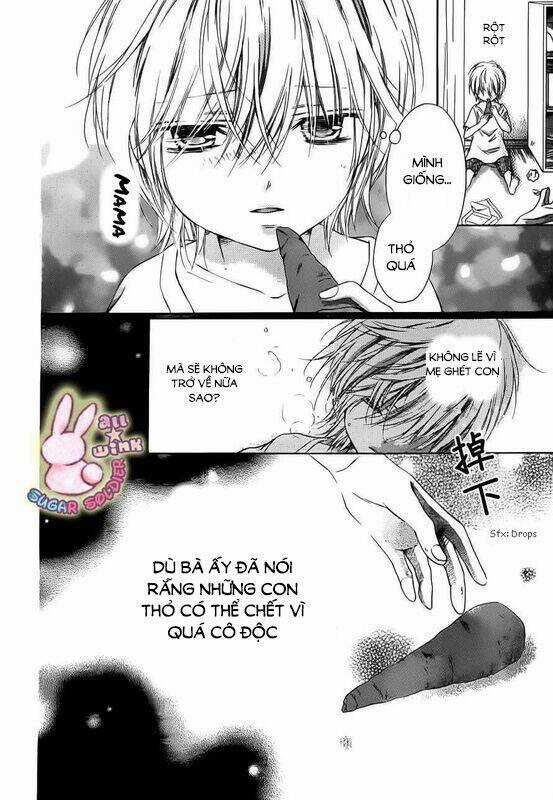 Sugar Soldier - Chapter 17 - Trang 11