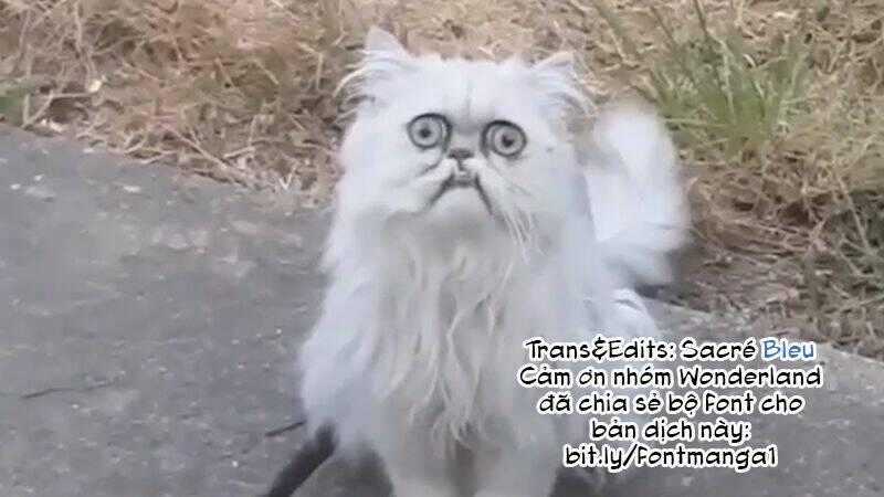 Suicide Parabellum - Chapter 5 - Trang 21