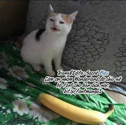 Suicide Parabellum - Chapter 6 - Trang 17