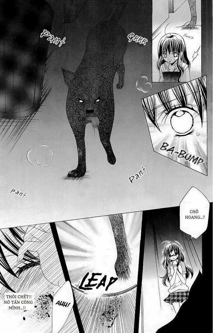 Suki Desu Suzuki-Kun!! - Chapter 42 - Trang 12