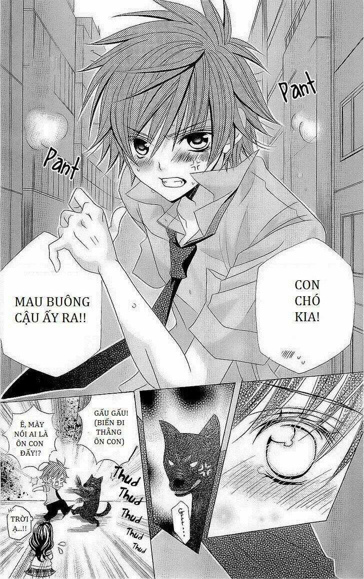 Suki Desu Suzuki-Kun!! - Chapter 42 - Trang 14