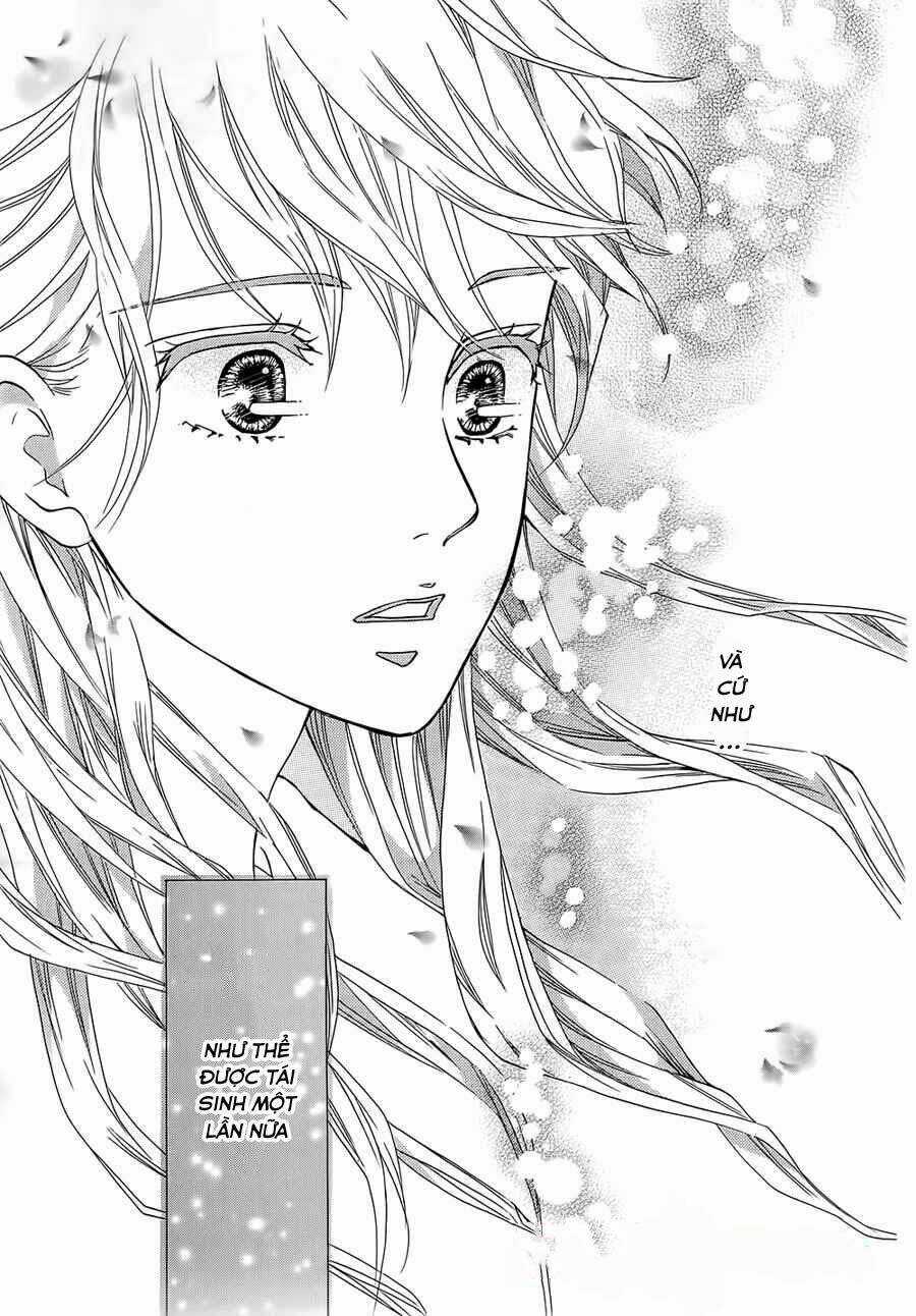 Sumika Sumire - Chapter 12 - Trang 13