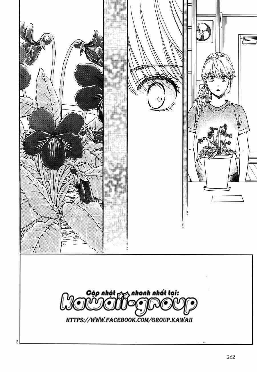Sumika Sumire - Chapter 35 - Trang 3