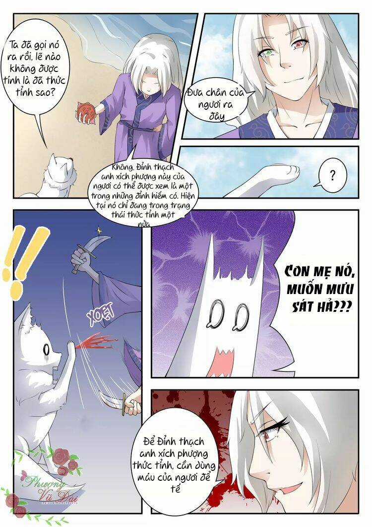 Sủng Hồ Thành Phi - Chapter 26 - Trang 8