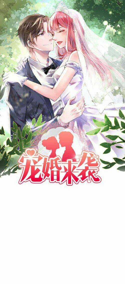 Sủng Hôn Lai Tập - Chapter 19 - Trang 1