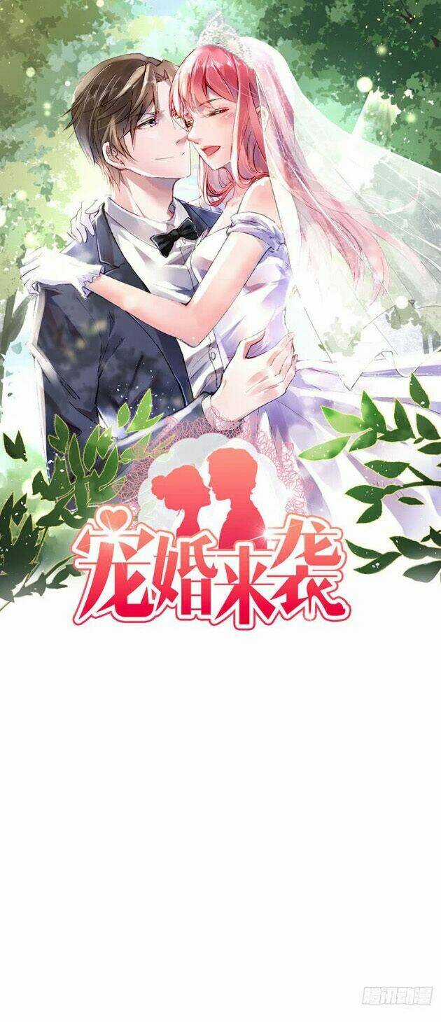 Sủng Hôn Lai Tập - Chapter 20 - Trang 2