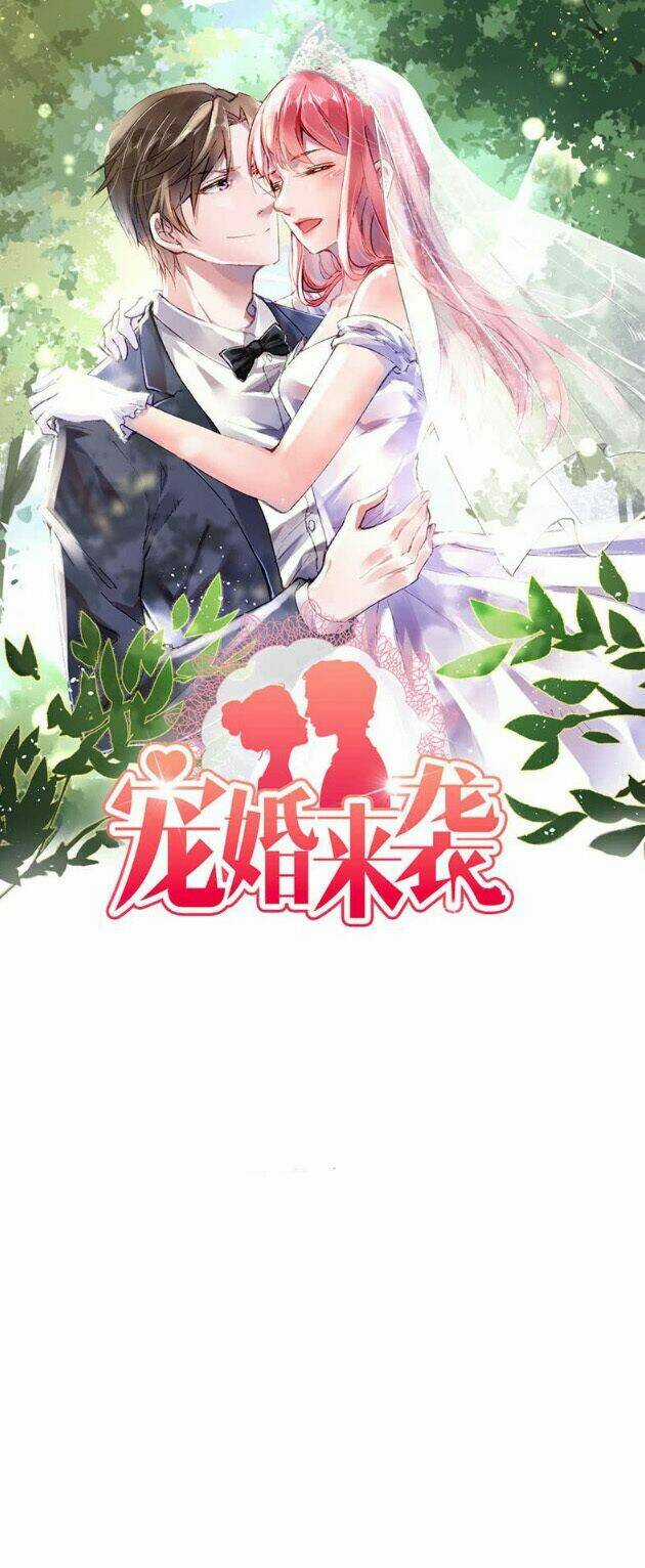 Sủng Hôn Lai Tập - Chapter 22 - Trang 1