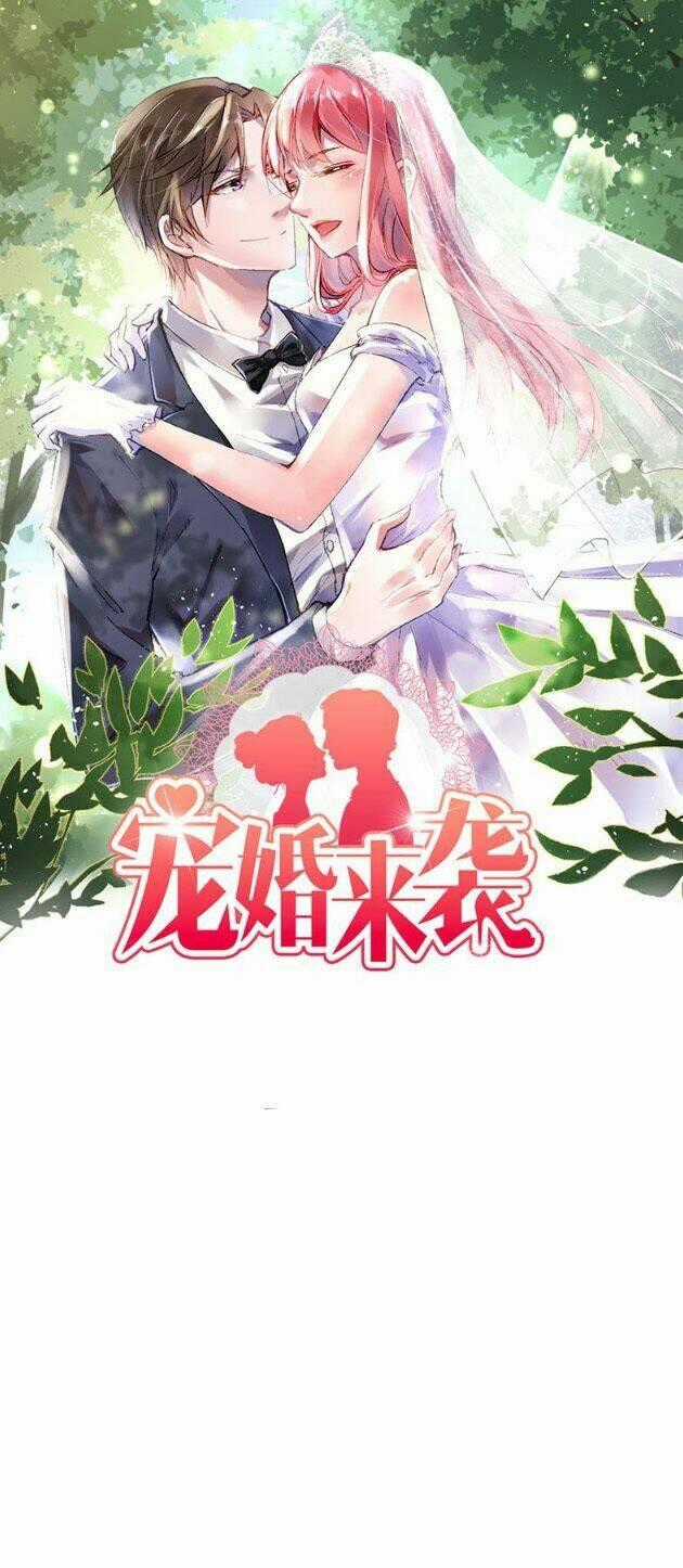 Sủng Hôn Lai Tập - Chapter 23 - Trang 1