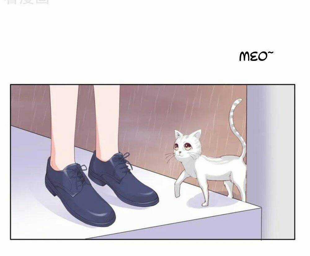 Sủng Hôn Lai Tập - Chapter 59 - Trang 12