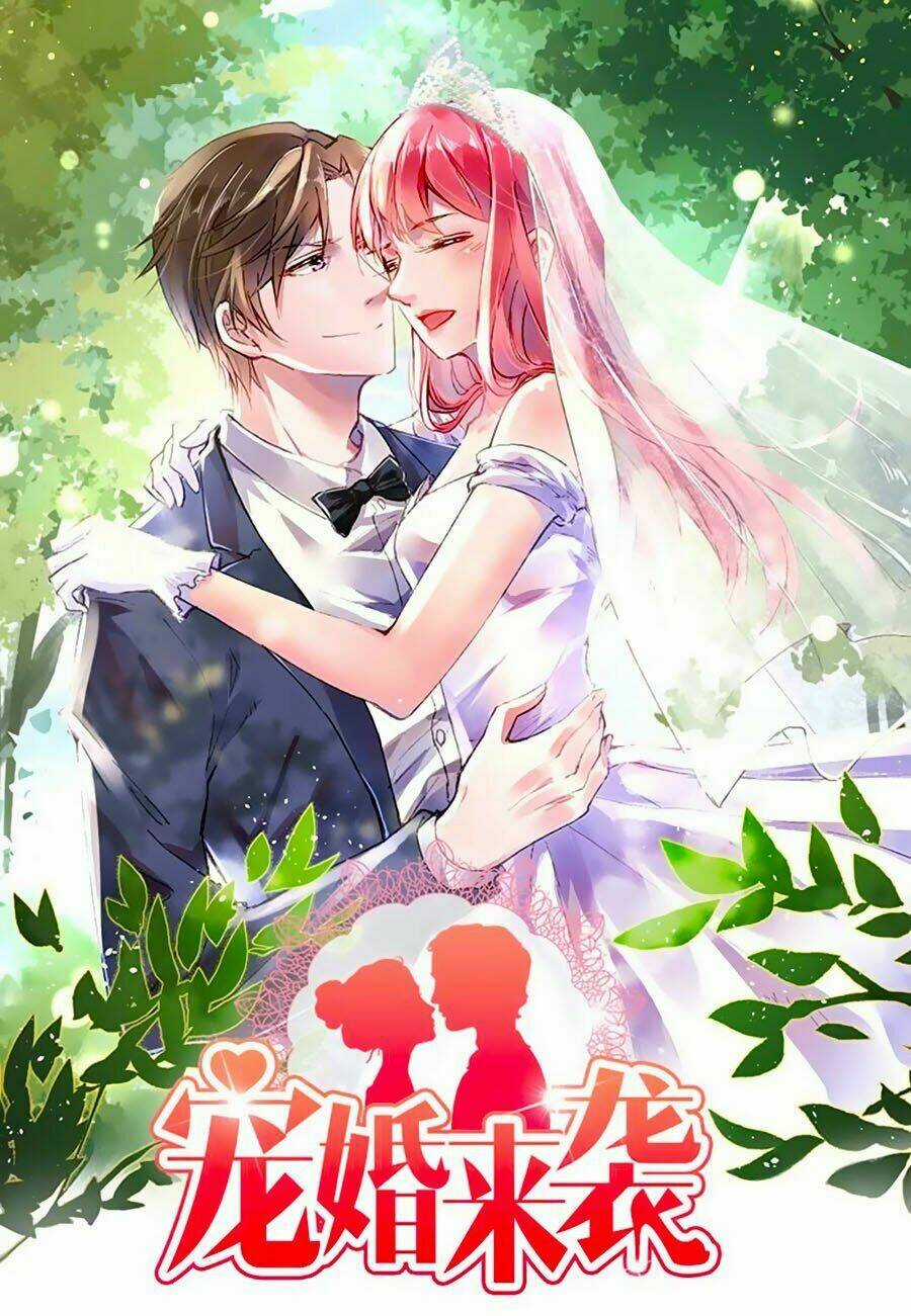 Sủng Hôn Lai Tập - Chapter 6 - Trang 1