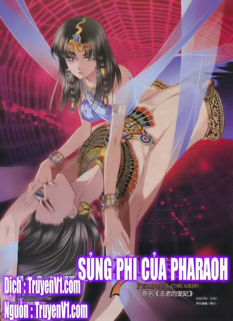 Sủng Phi Của Pharaoh - Chapter 47 - Trang 1