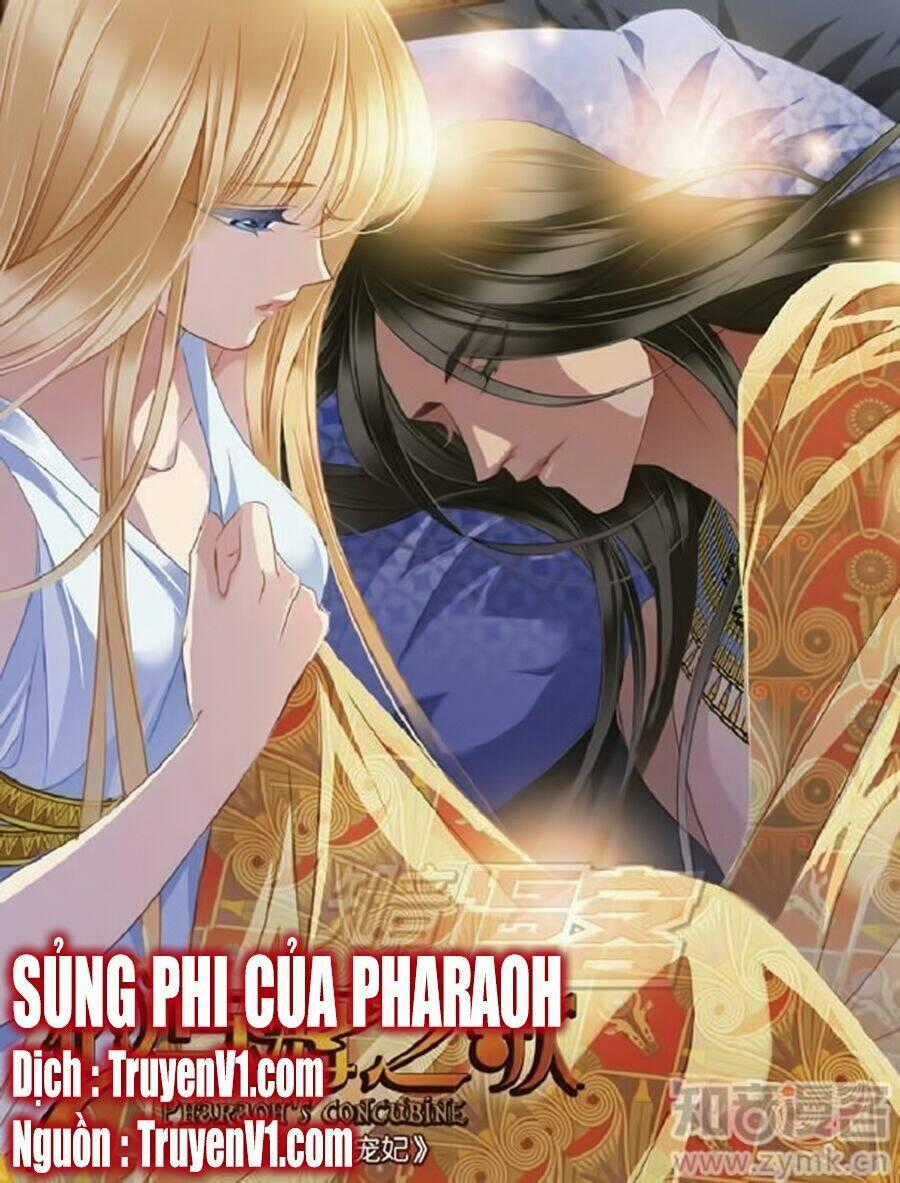 Sủng Phi Của Pharaoh - Chapter 54 - Trang 1