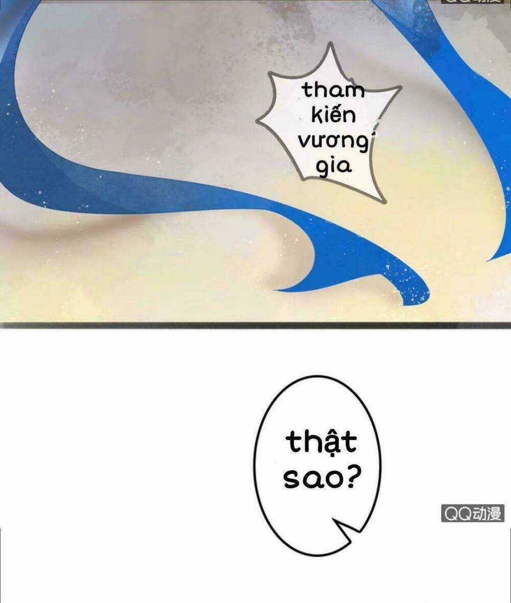 Sủng Phi Của Vương - Chapter 10 - Trang 12