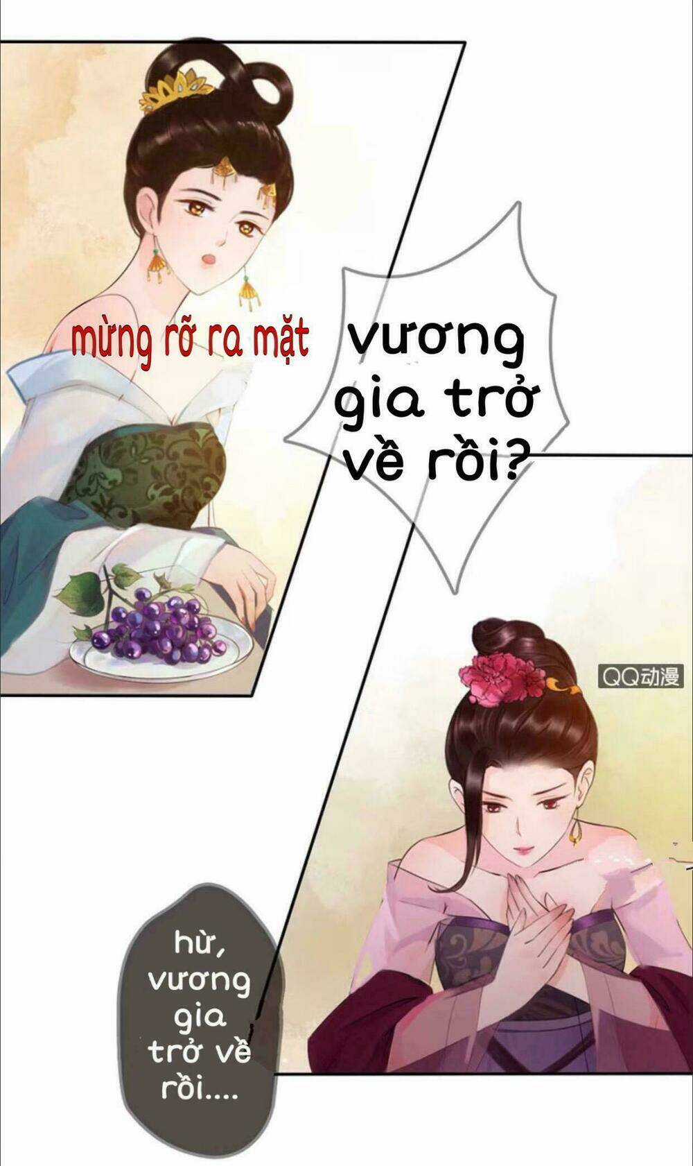 Sủng Phi Của Vương - Chapter 10 - Trang 13