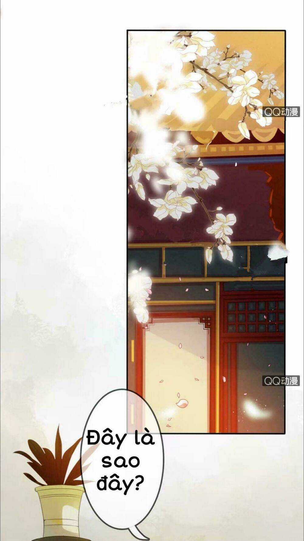 Sủng Phi Của Vương - Chapter 10 - Trang 25