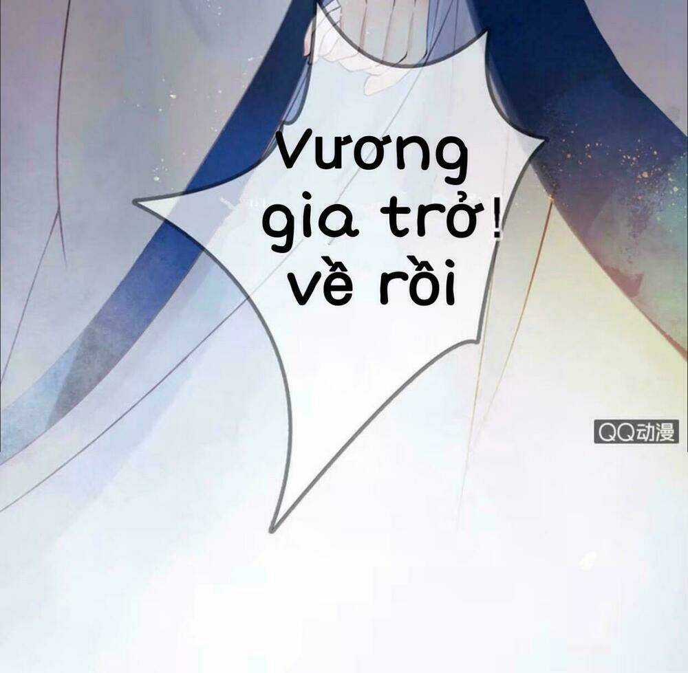 Sủng Phi Của Vương - Chapter 10 - Trang 10