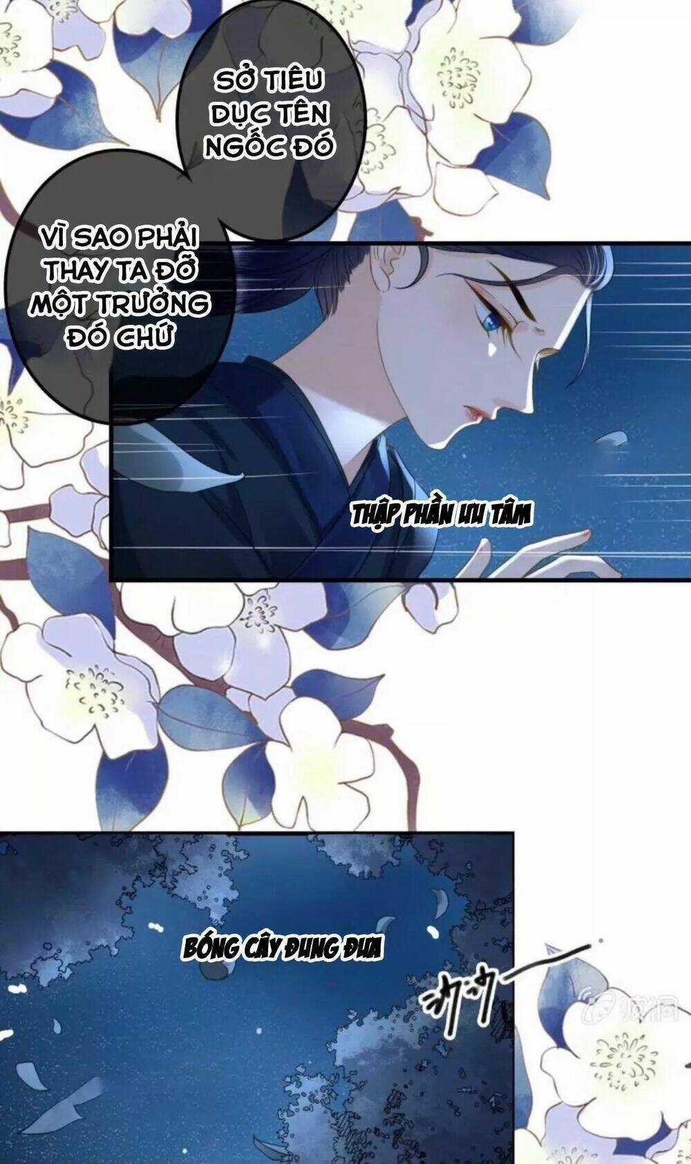 Sủng Phi Của Vương - Chapter 108 - Trang 16