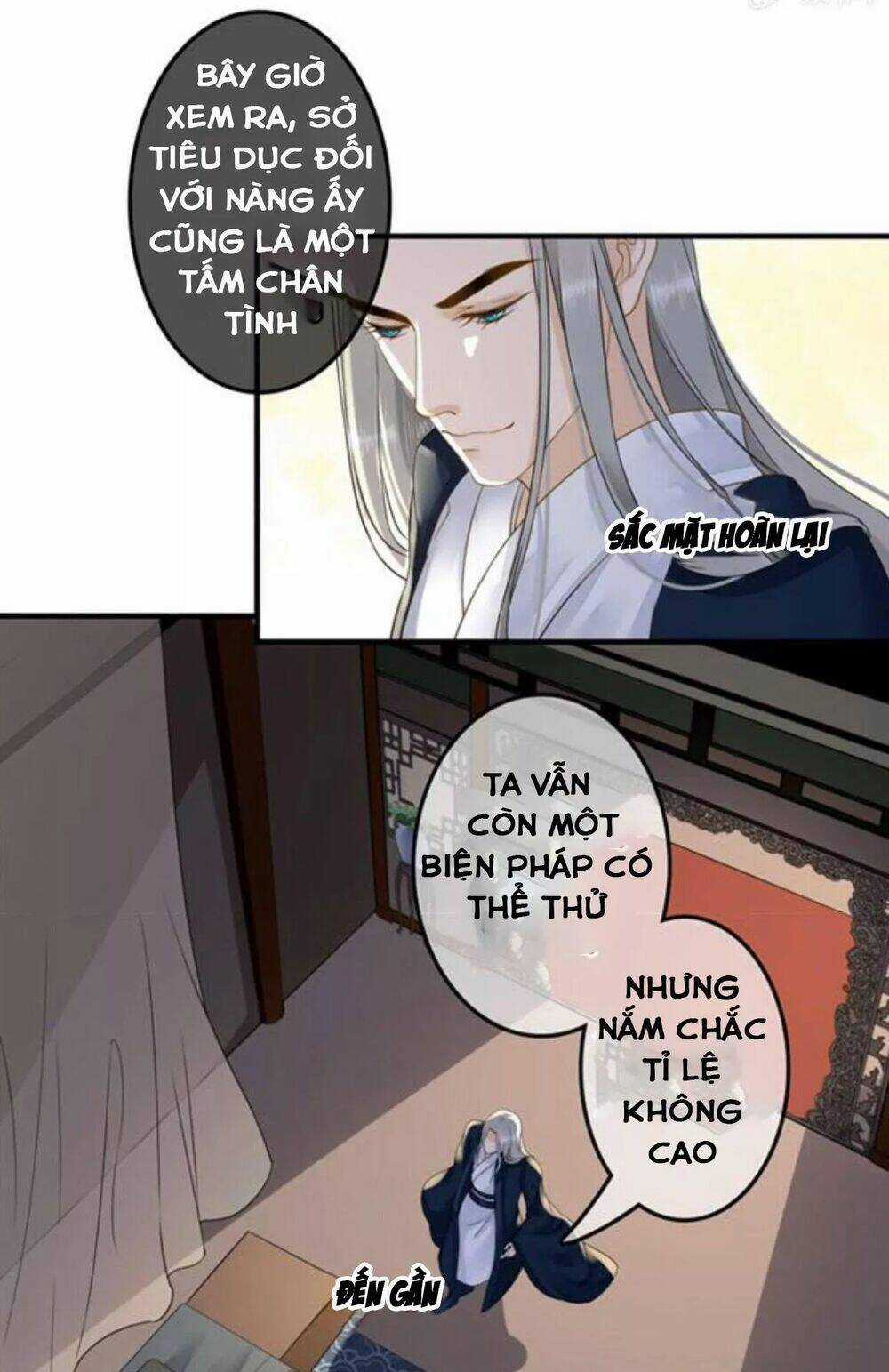 Sủng Phi Của Vương - Chapter 116 - Trang 3