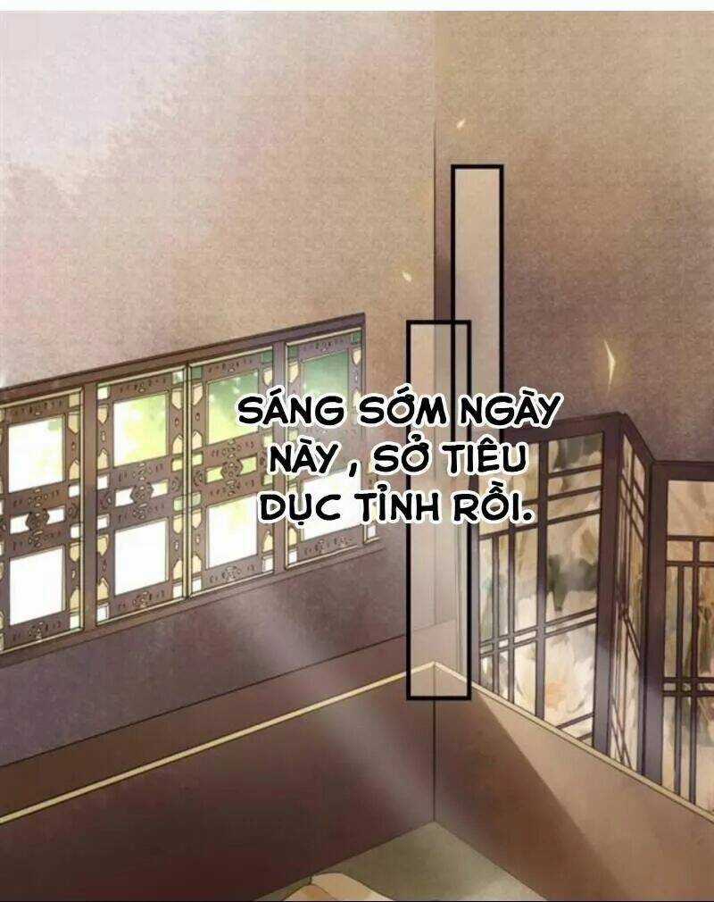 Sủng Phi Của Vương - Chapter 126 - Trang 1