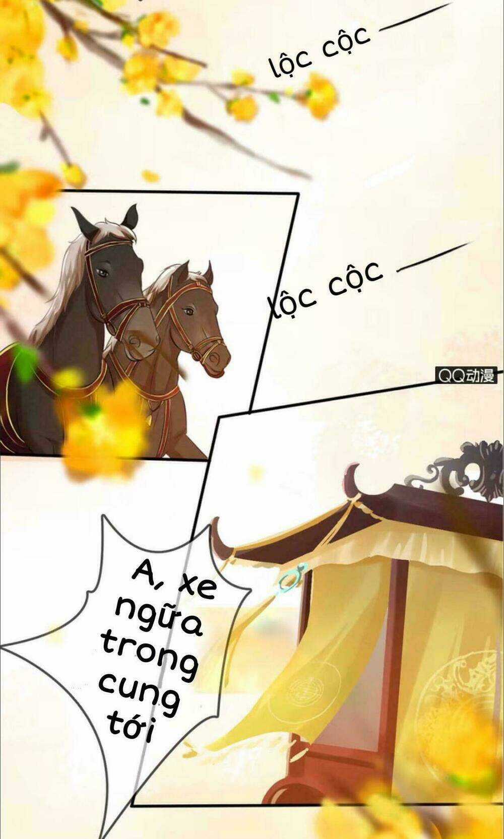 Sủng Phi Của Vương - Chapter 13 - Trang 5