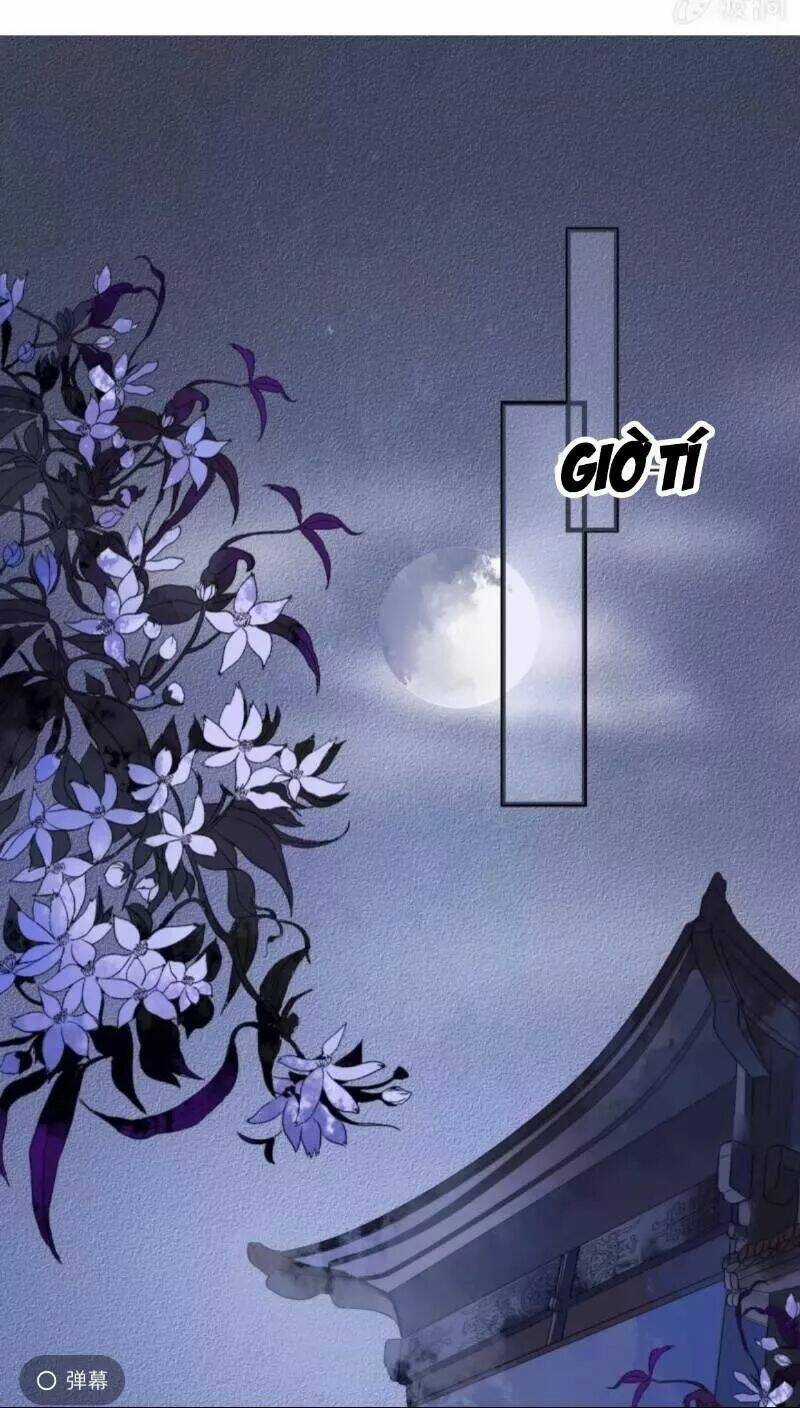 Sủng Phi Của Vương - Chapter 131 - Trang 13