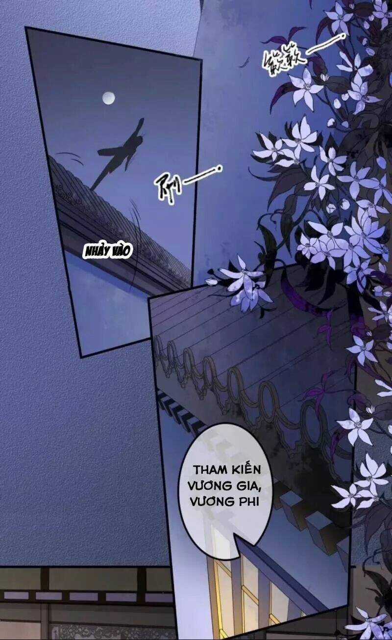 Sủng Phi Của Vương - Chapter 131 - Trang 14