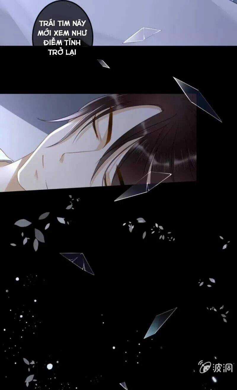 Sủng Phi Của Vương - Chapter 133 - Trang 28