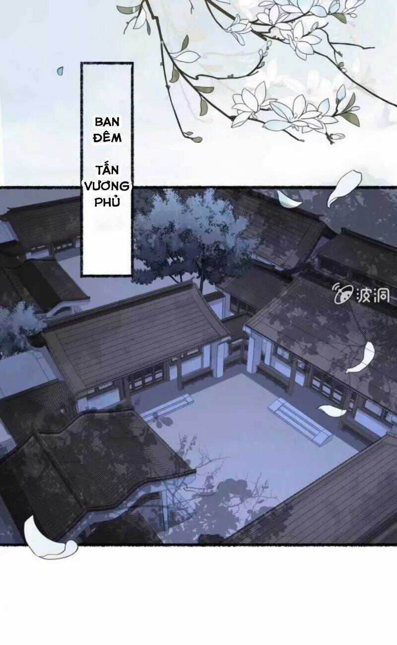 Sủng Phi Của Vương - Chapter 137 - Trang 10