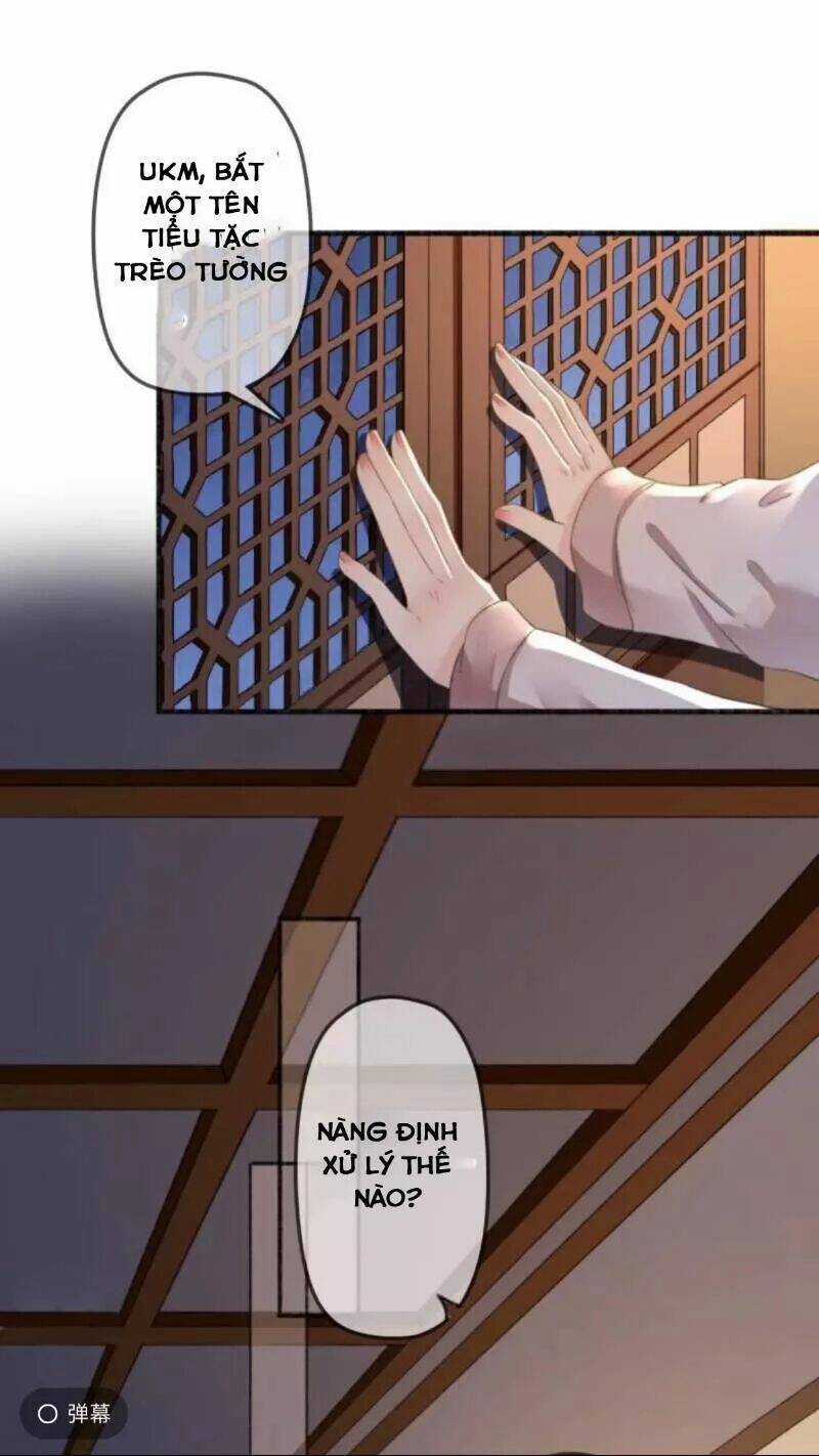 Sủng Phi Của Vương - Chapter 138 - Trang 14