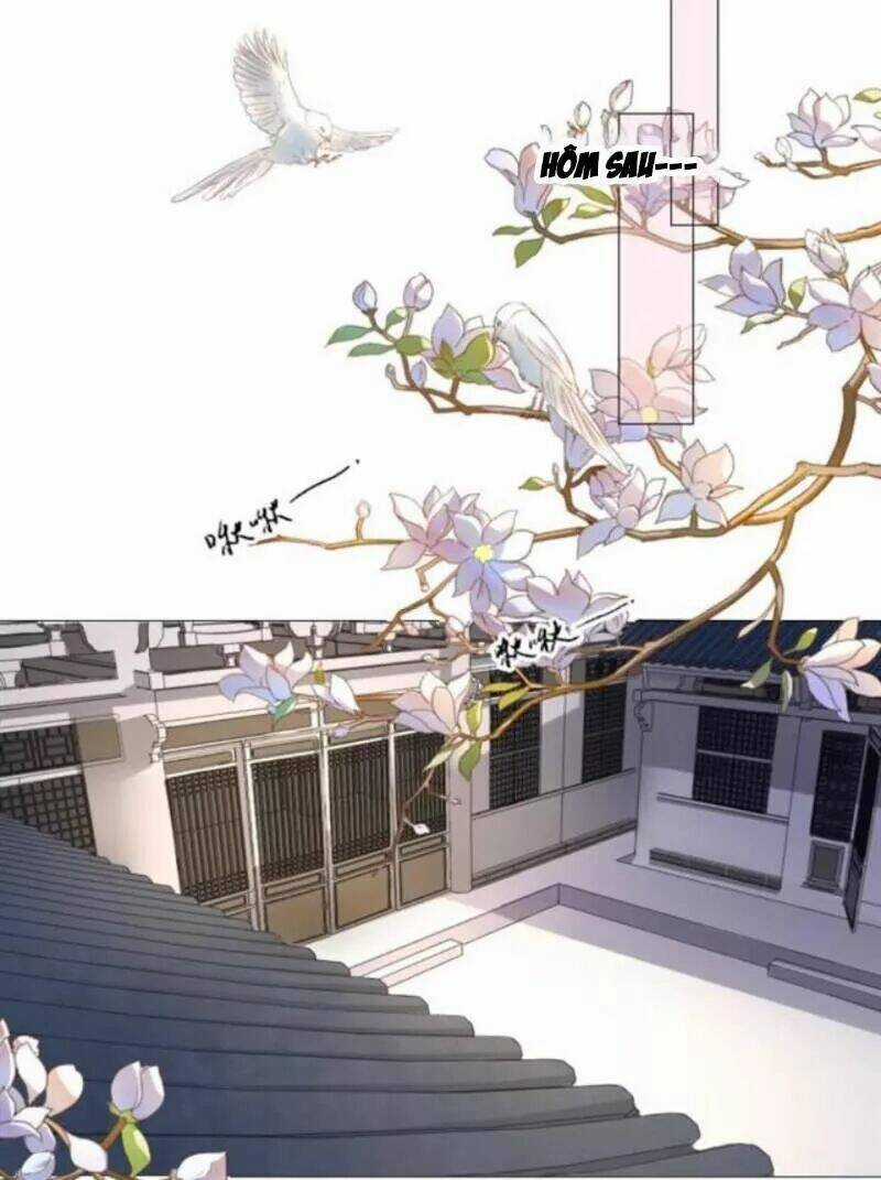 Sủng Phi Của Vương - Chapter 142 - Trang 1