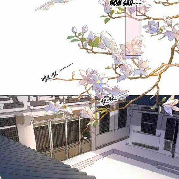 Sủng Phi Của Vương - Chapter 142 - Trang 12