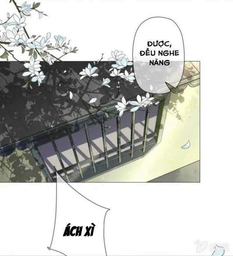 Sủng Phi Của Vương - Chapter 142 - Trang 22