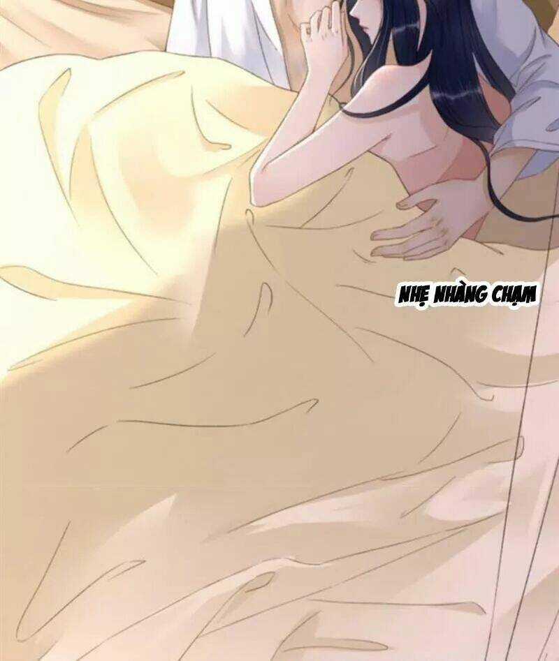 Sủng Phi Của Vương - Chapter 142 - Trang 4