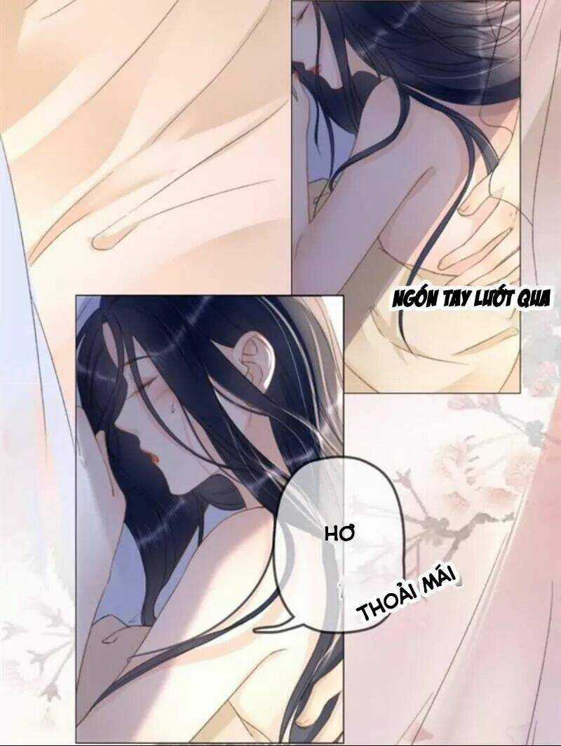 Sủng Phi Của Vương - Chapter 142 - Trang 5