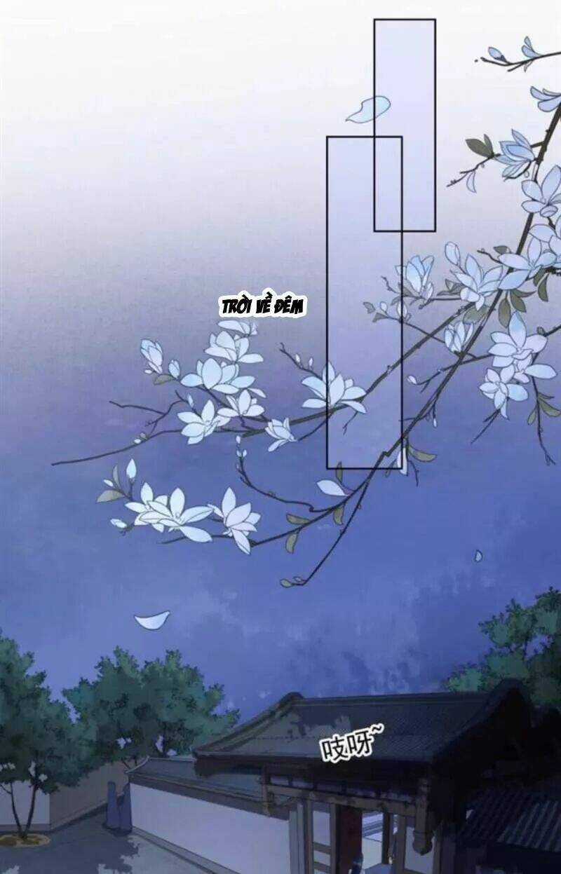 Sủng Phi Của Vương - Chapter 143 - Trang 5