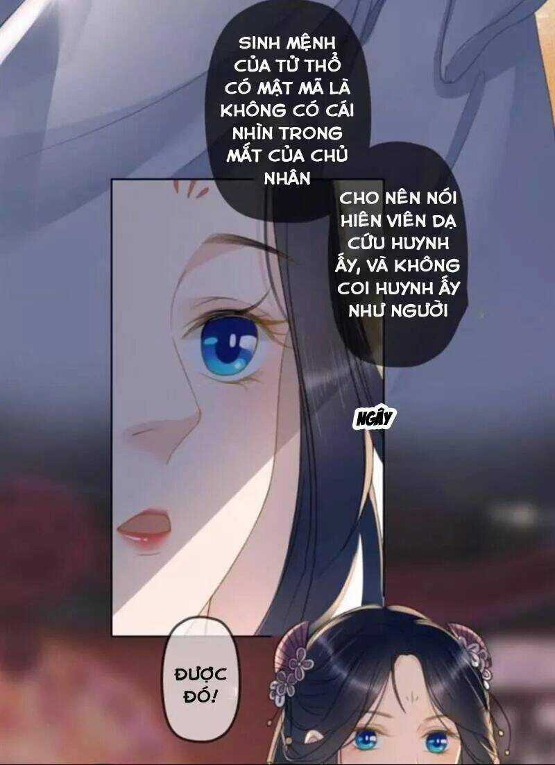 Sủng Phi Của Vương - Chapter 144 - Trang 20