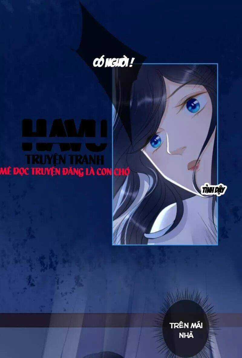 Sủng Phi Của Vương - Chapter 146 - Trang 6