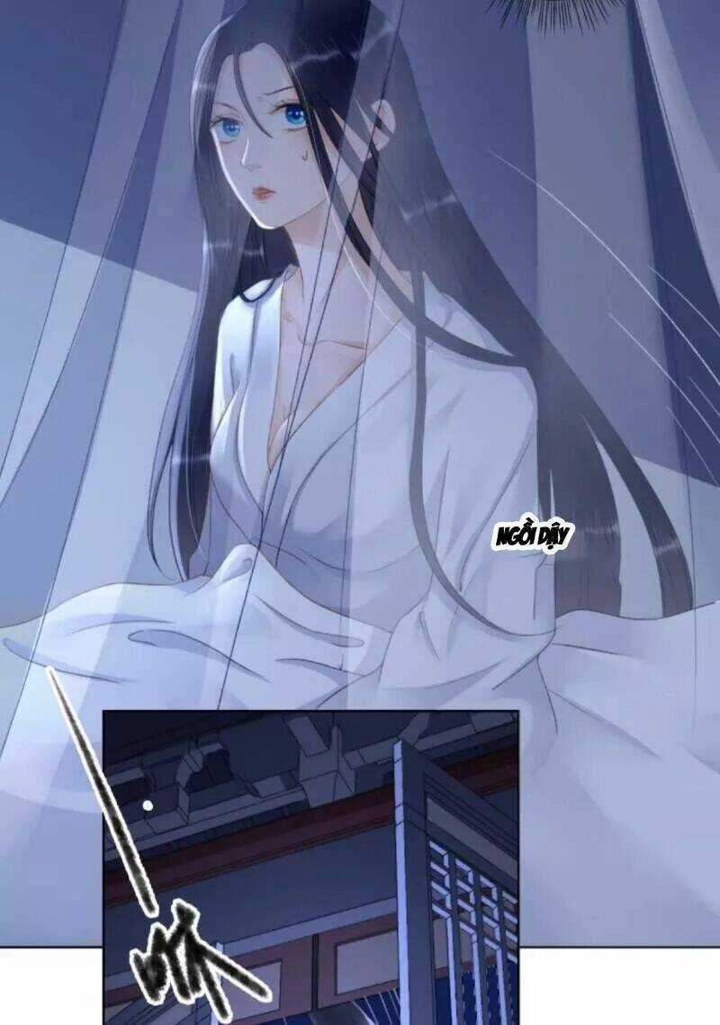 Sủng Phi Của Vương - Chapter 146 - Trang 7