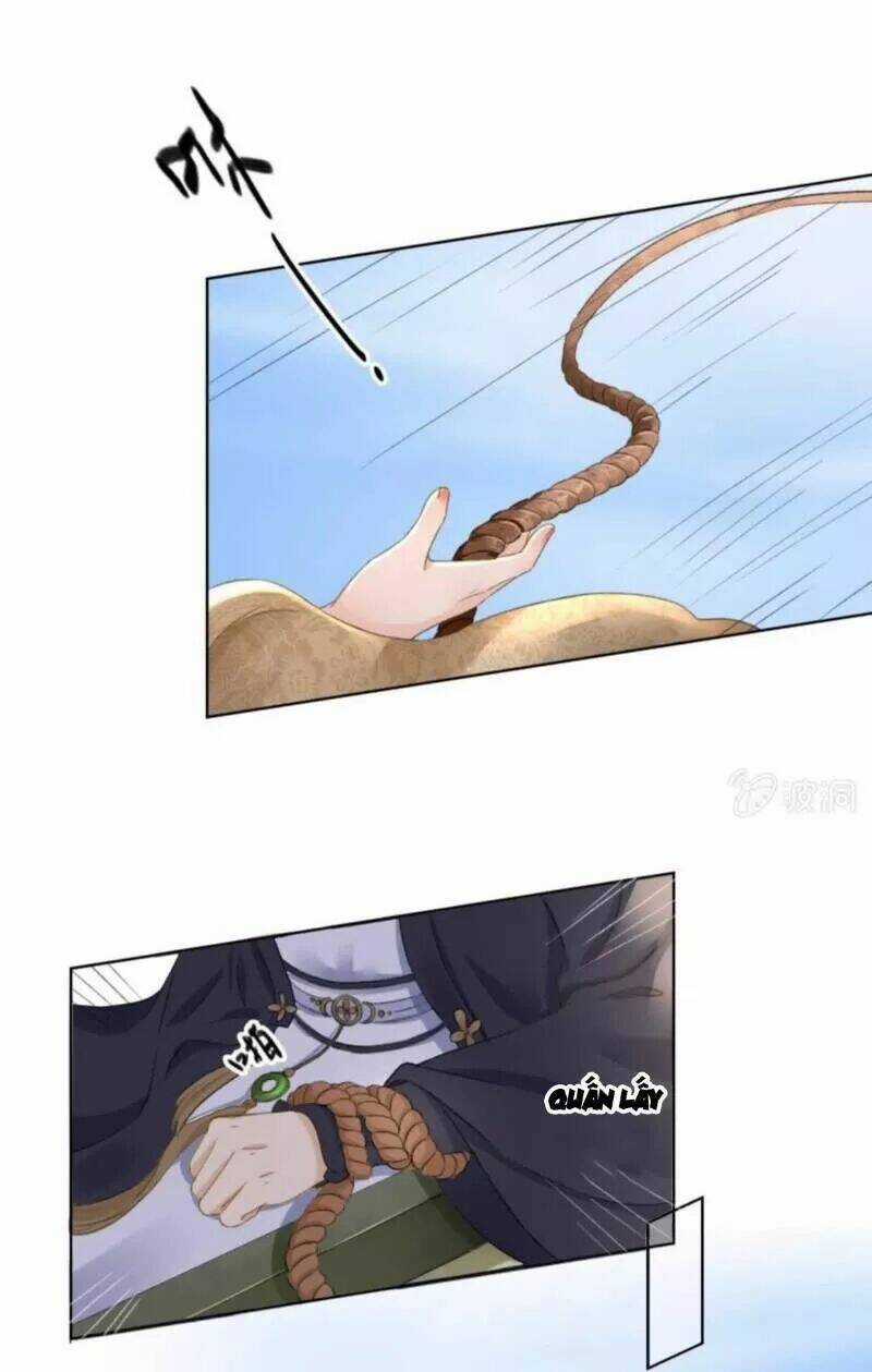 Sủng Phi Của Vương - Chapter 149 - Trang 22