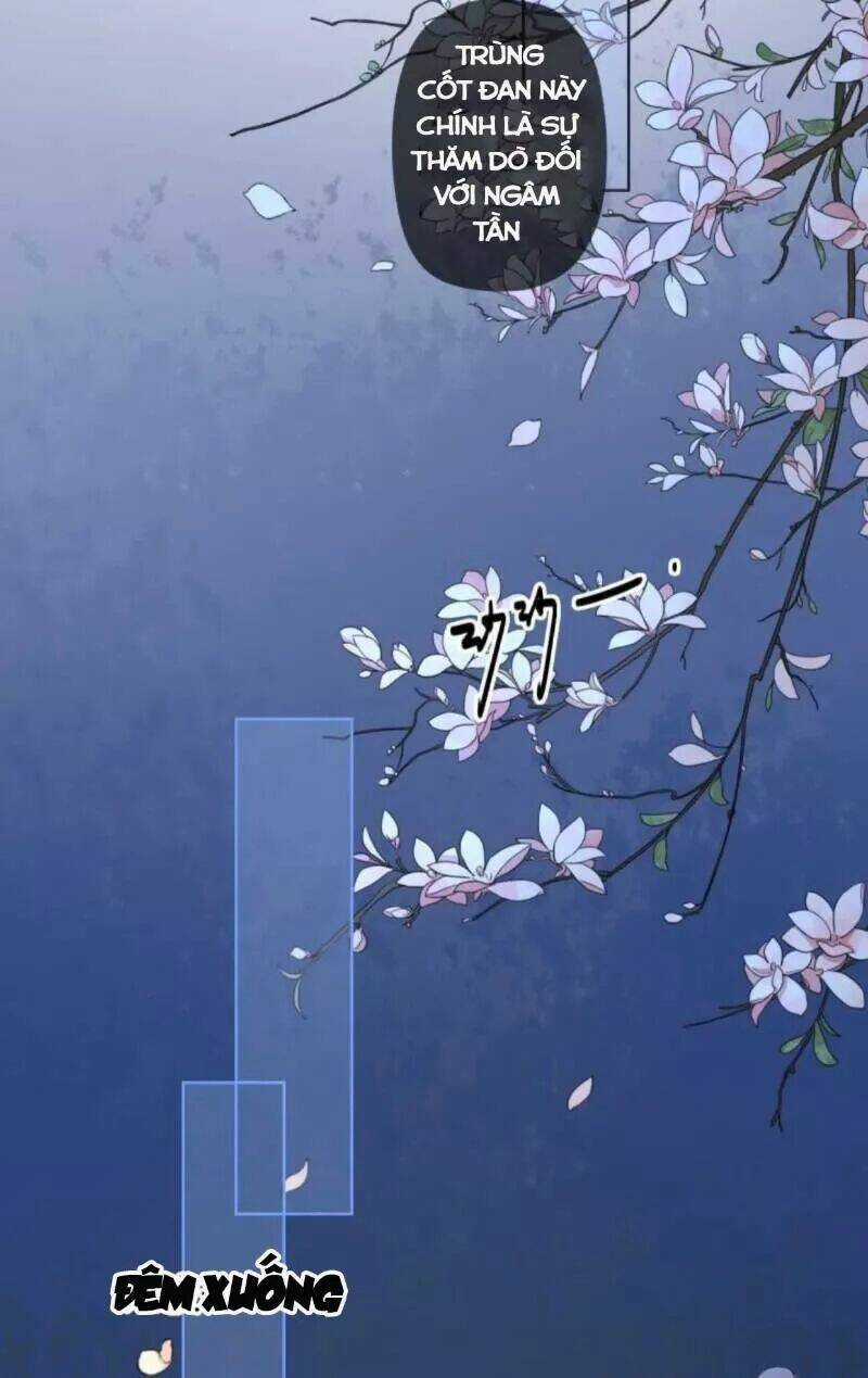 Sủng Phi Của Vương - Chapter 151 - Trang 8