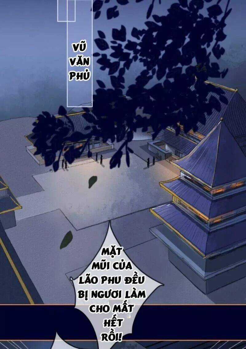 Sủng Phi Của Vương - Chapter 152 - Trang 13