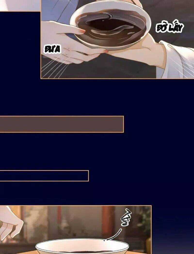 Sủng Phi Của Vương - Chapter 154 - Trang 13