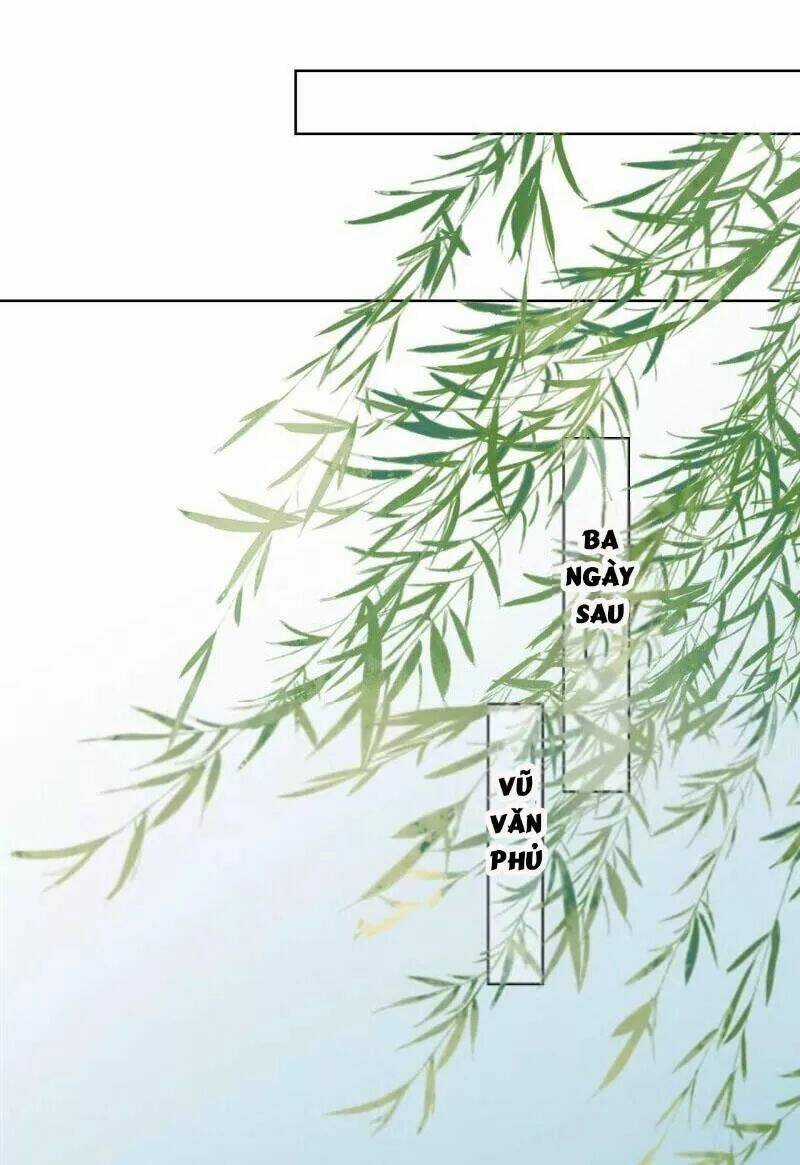 Sủng Phi Của Vương - Chapter 156 - Trang 2