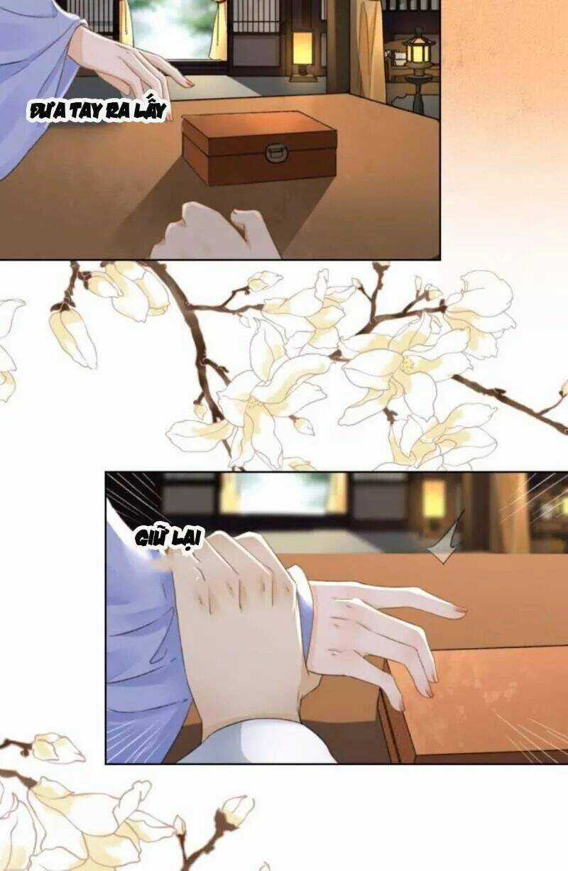 Sủng Phi Của Vương - Chapter 157 - Trang 5