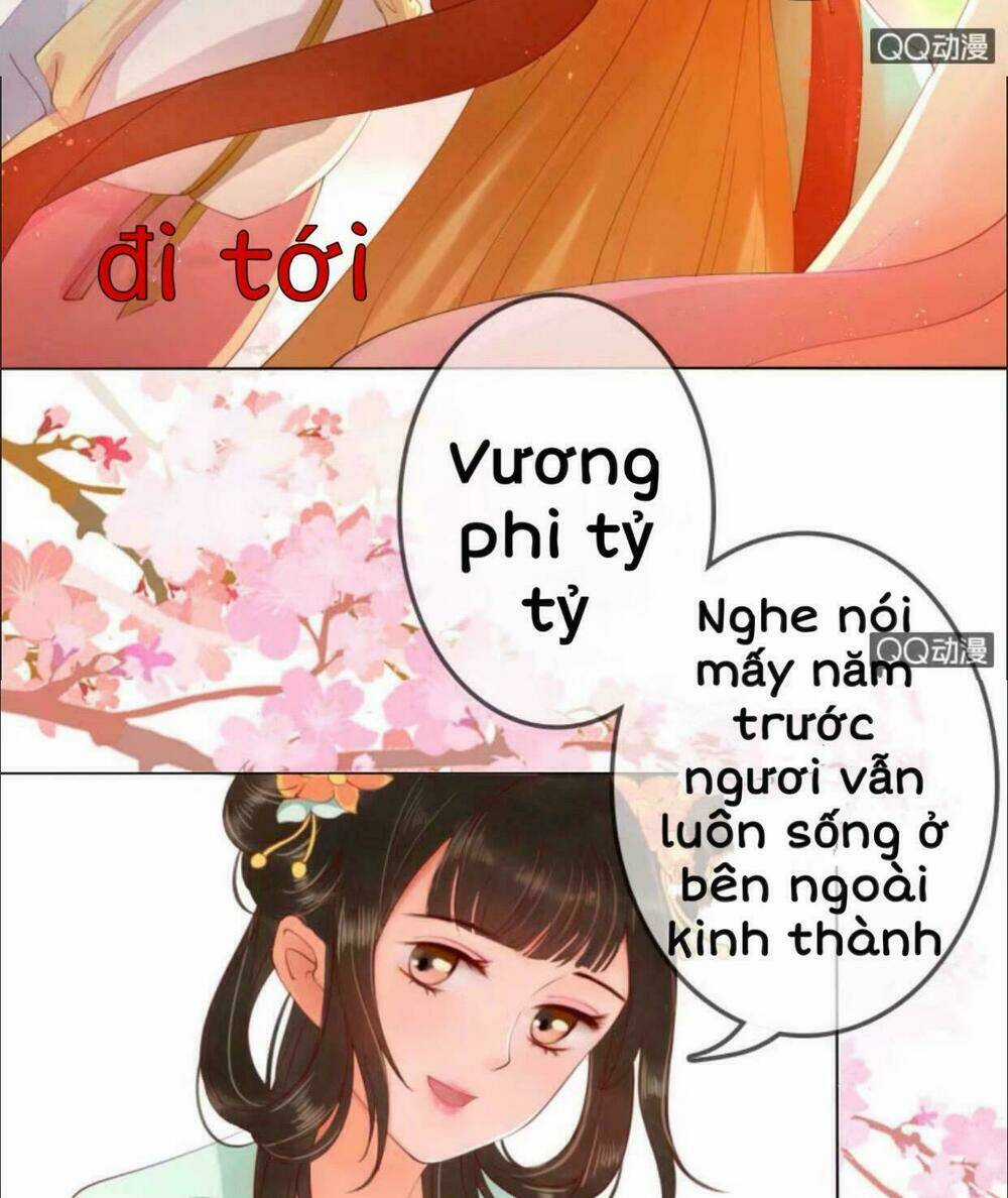 Sủng Phi Của Vương - Chapter 16 - Trang 10