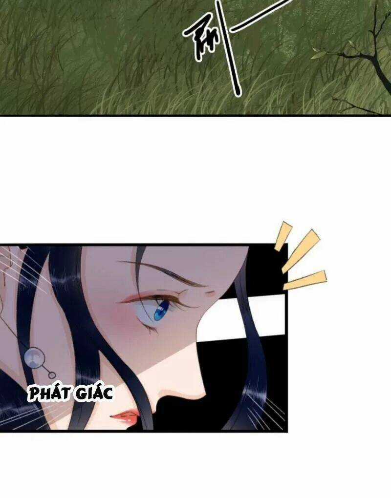 Sủng Phi Của Vương - Chapter 164 - Trang 14