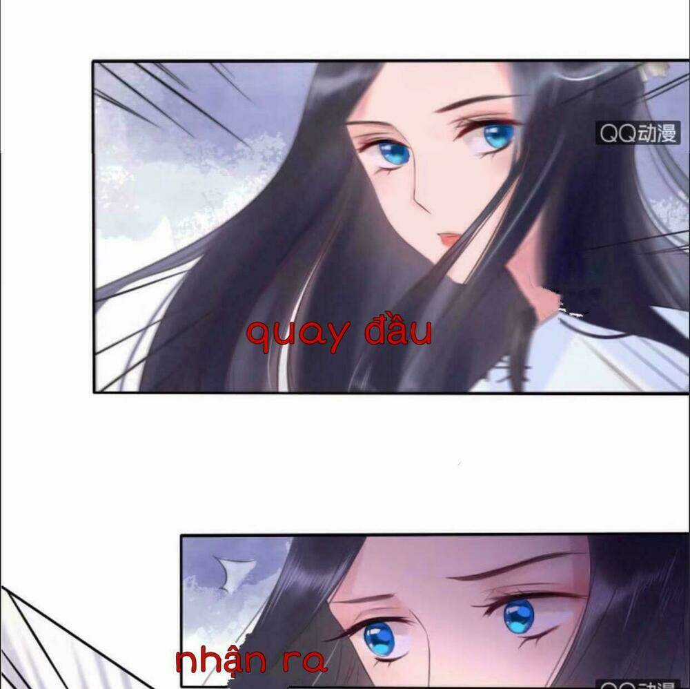 Sủng Phi Của Vương - Chapter 17 - Trang 15