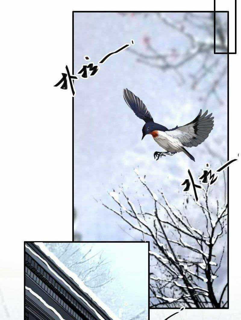 Sủng Phi Của Vương - Chapter 175 - Trang 20