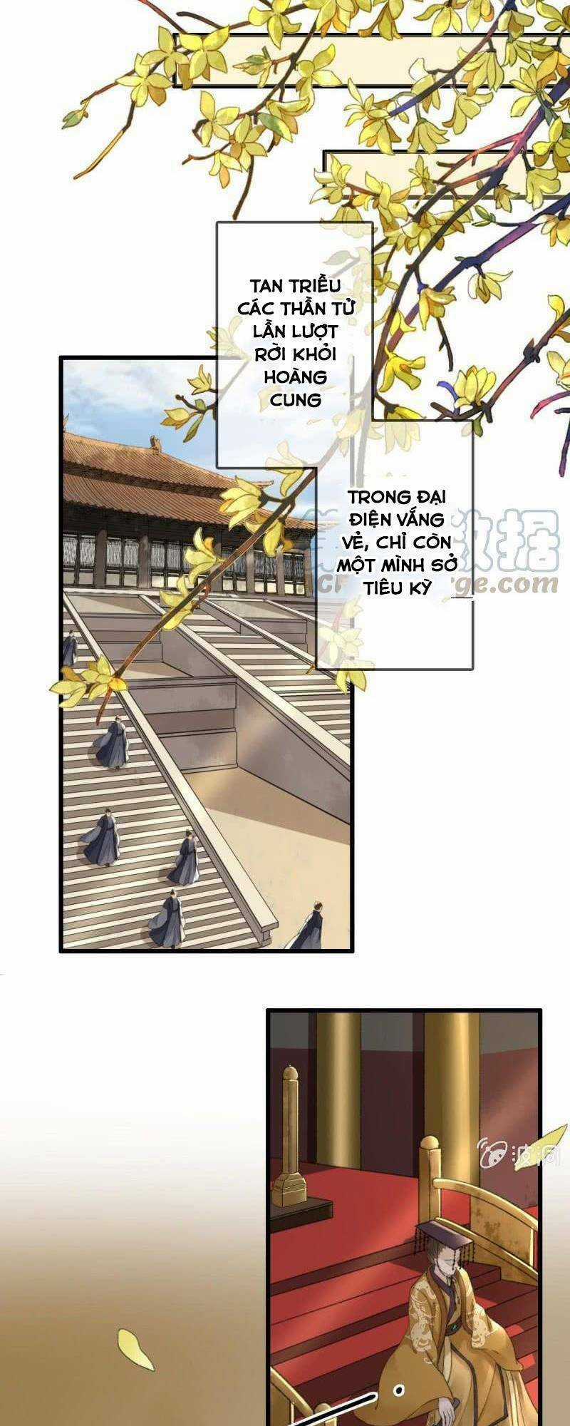 Sủng Phi Của Vương - Chapter 183 - Trang 4