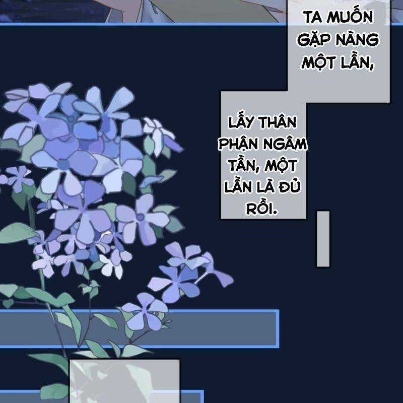 Sủng Phi Của Vương - Chapter 199 - Trang 15